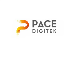 pace digitek share price